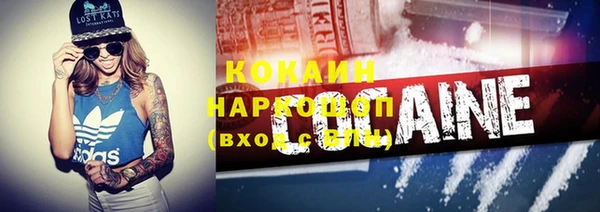 сатива Баксан