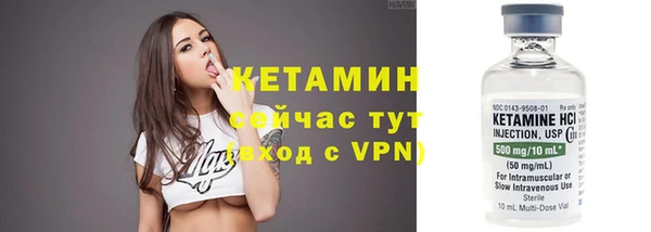 сатива Баксан
