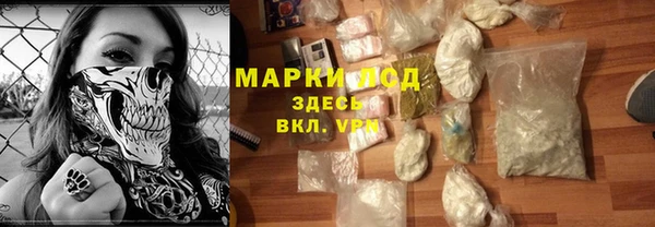 сатива Баксан